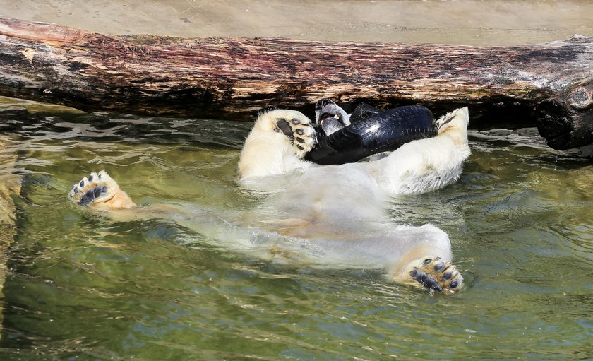 Zoo otwiera swoje bramy