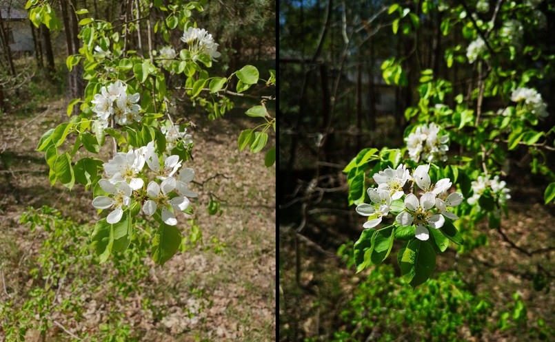 Pierwsze zjęcie - Samsung Galaxy S9+, drugie - Huawei P20 Pro