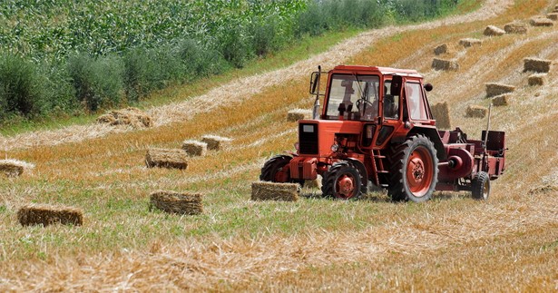 Projekt zmian w KRUS zakłada zróżnicowanie składki na ubezpieczenie rolników posiadających powyżej 50 hektarów ziemi.