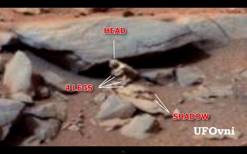 'Wiewiórka' na Marsie