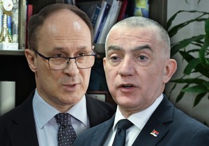 Vujić i Stamenković