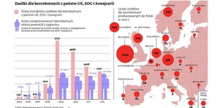 Polacy wolą szukać pracy za granicą. Socjal jest ważny, ale pensje ważniejsze