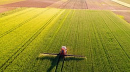 wojna może wywołać kryzys żywnościowy. na uderzenie z tej strony nikt