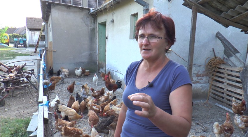 Dragana sa svojom živinom