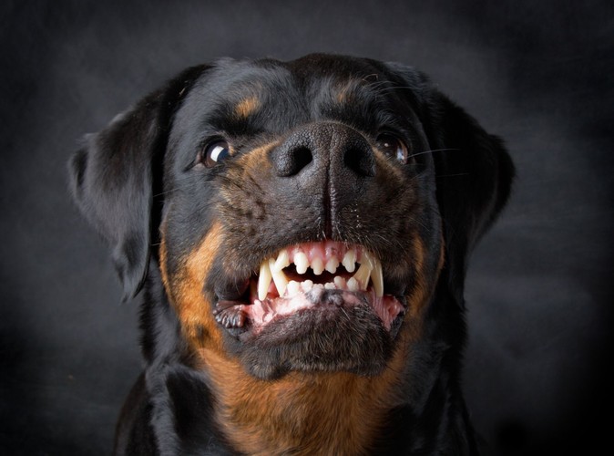 Co turyści zostawiają w hotelach?