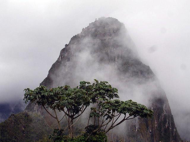 Galeria Peru - Machu Picchu "Zaginione Miasto Inków", obrazek 34