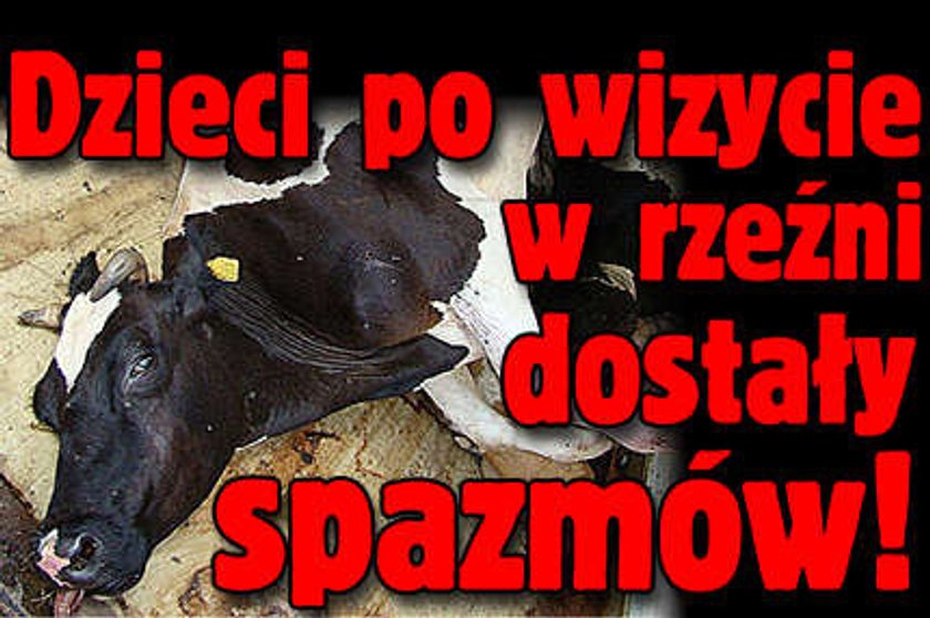 Dzieci po wizycie w rzeźni dostały spazmów!