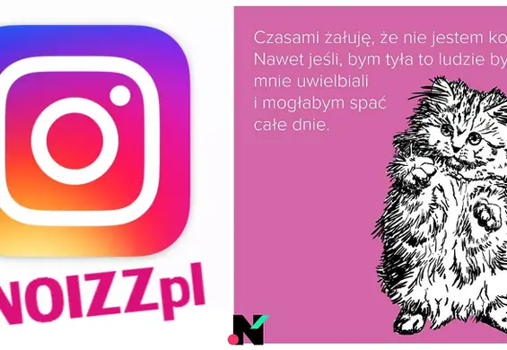 11 powodów, dla których powinieneś obserwować NOIZZ na Instagramie