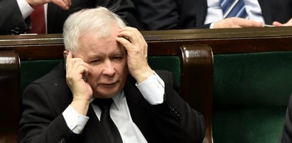 Partyjne doły PiS szczerze o kampanii. "Dużo działaczy się wycofało"