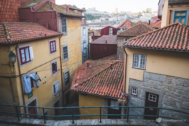 Urzekające Porto. Co warto w nim zobaczyć?