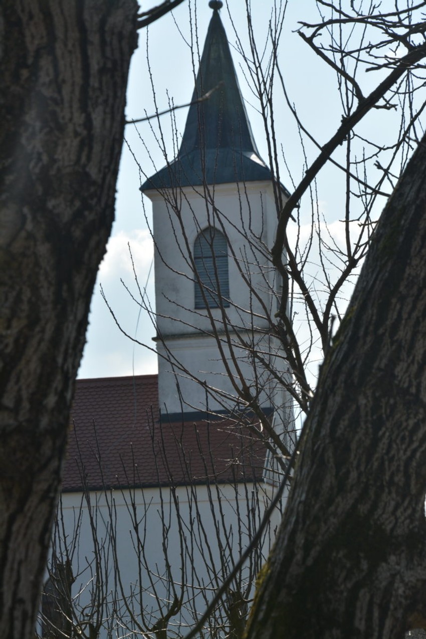 Crkva Svetog Ilije u Mlaki