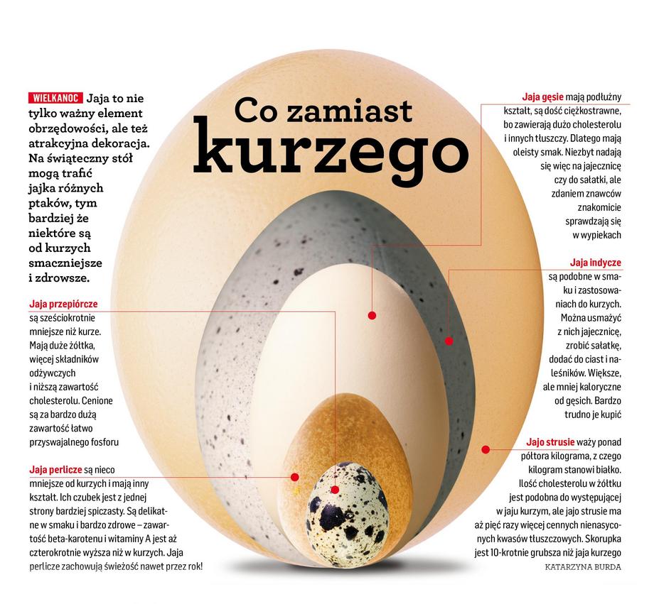 Wyjaśnij Jakie Właściwości Ma Skorupka Jaja Kurzego Dzięki Solom Mineralnym Wielkanoc 2012: Jakie jaja zamiast kurzych? - Styl Życia - Newsweek.pl