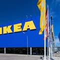 IKEA zamyka sklepy w Polsce do odwołania. "Rozporządzenie zmieniło swoją treść"