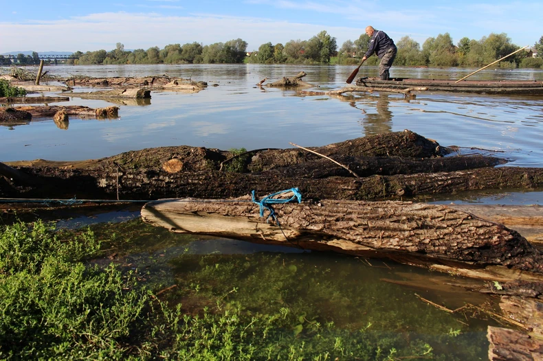 pecanje drva ava Gradiška