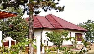 Vojin i Sloboda Ćetković, vikendica Čortanovci