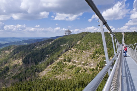 Sky Bridge