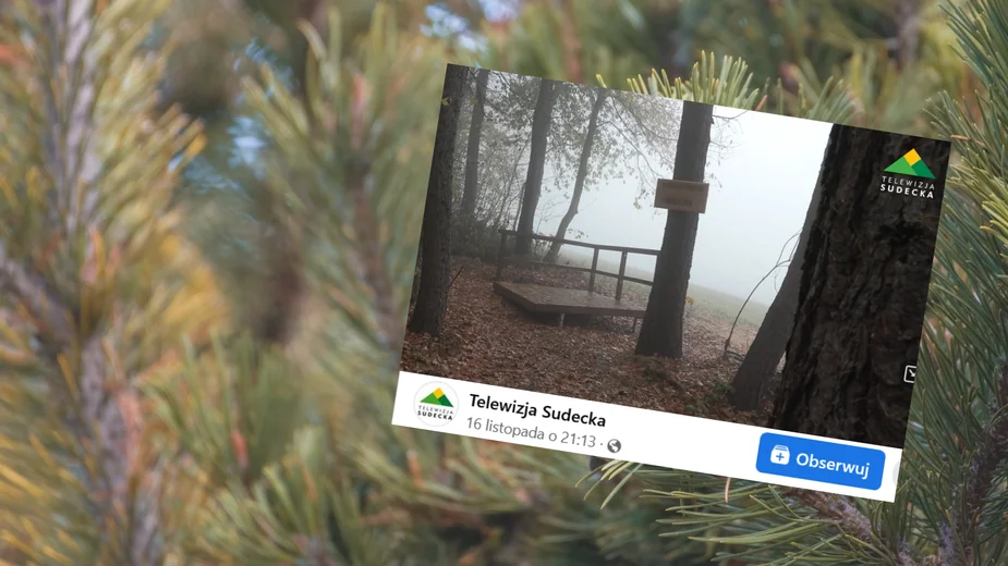 BPek9kpTURBXy8wNmMxMzVhZmYxOWM0NDZjZGI0N