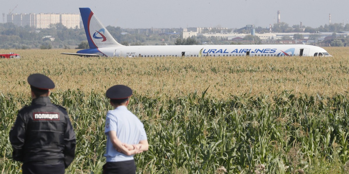 Horror! Pilot musiał lądować w polu kukurydzy 