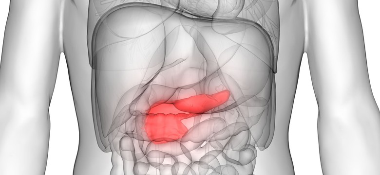 Bioniczna trzustka – przełom w leczeniu cukrzycy? Prace trwają