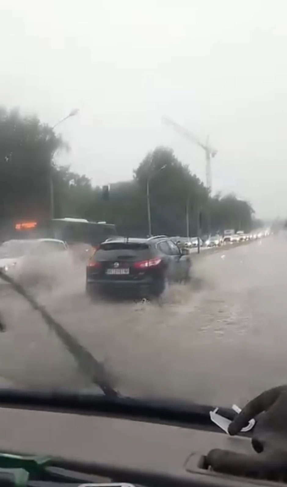 Velika količina kiše u Višnjičkoj ulici