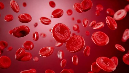 Mit jelent a Hemoglobin (Hgb) érték a laborleleten?
