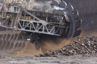 Niemcy są "zielone" tylko w teorii? Należąca do RWE kopalnia chce wyciąć las, który ma 12 tys. lat