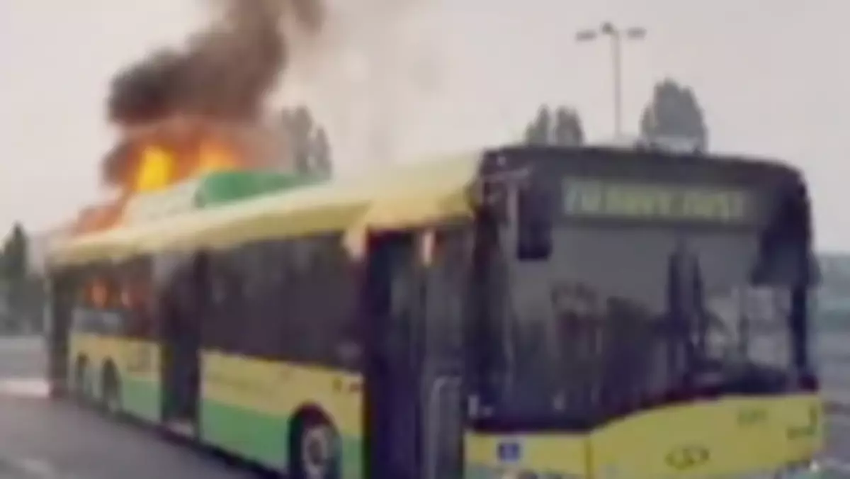 Polskie autobusy stają w płomieniach