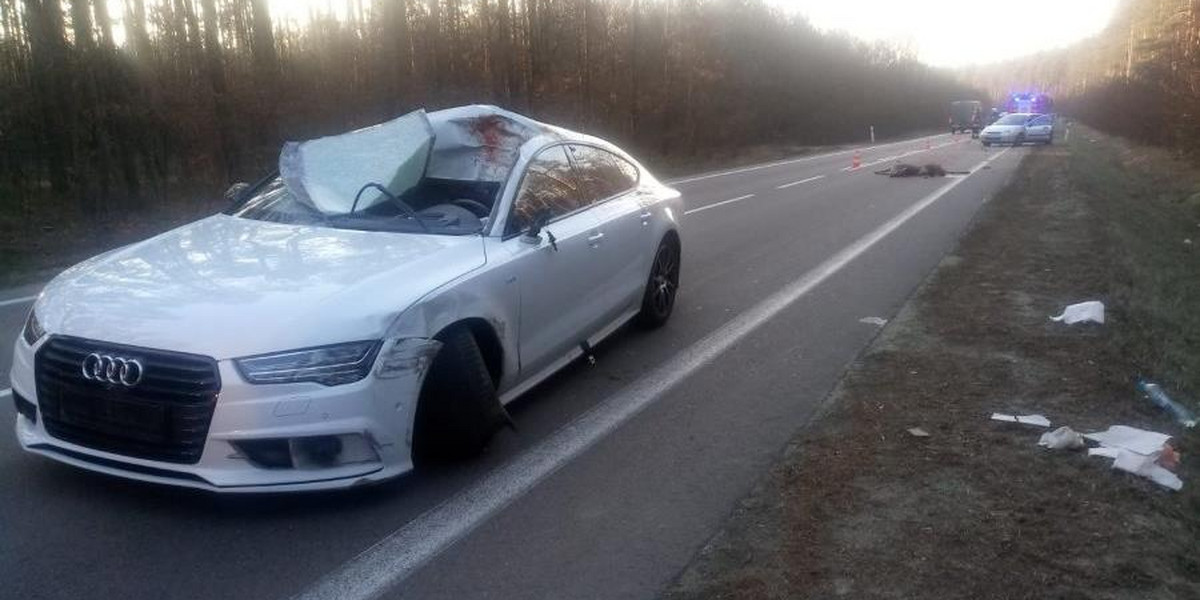 Tak wygląda audi po zderzeniu z łanią