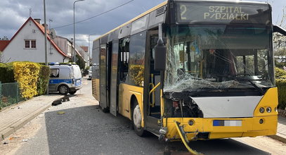 Groźny wypadek w Bartoszycach. Radiowóz zderzył się z autobusem. Są ranni [ZDJĘCIA]