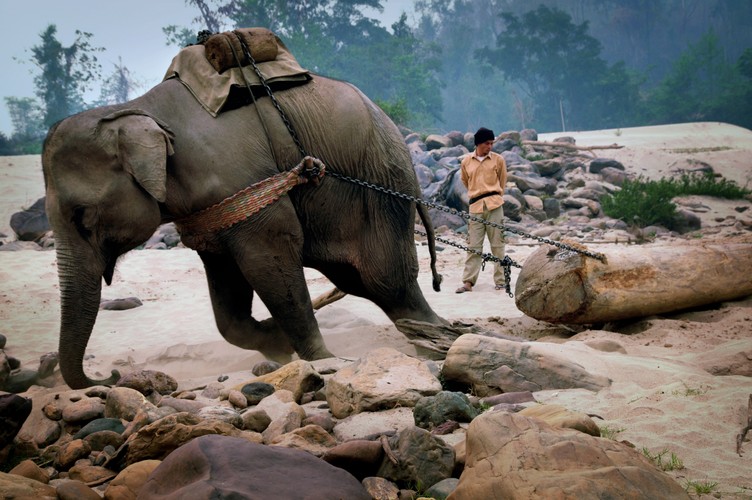 Wang Yizhong, Chiny, 2014 Sony World Photography Awards