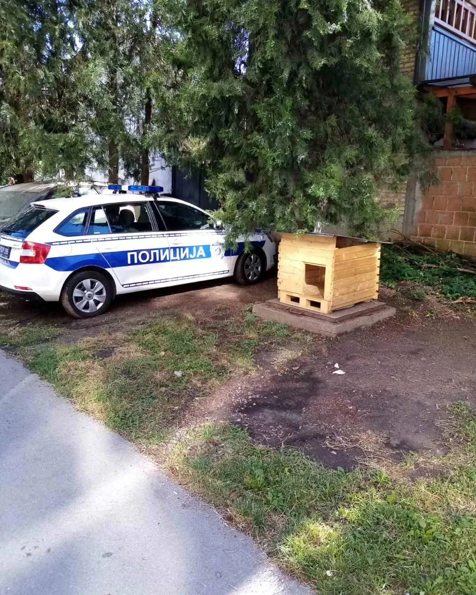Novosadska policija pomaže kucama lutalicama