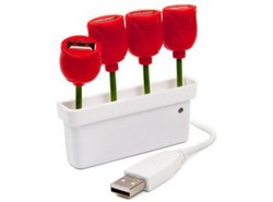 Grządka tulipanów przy komputerze