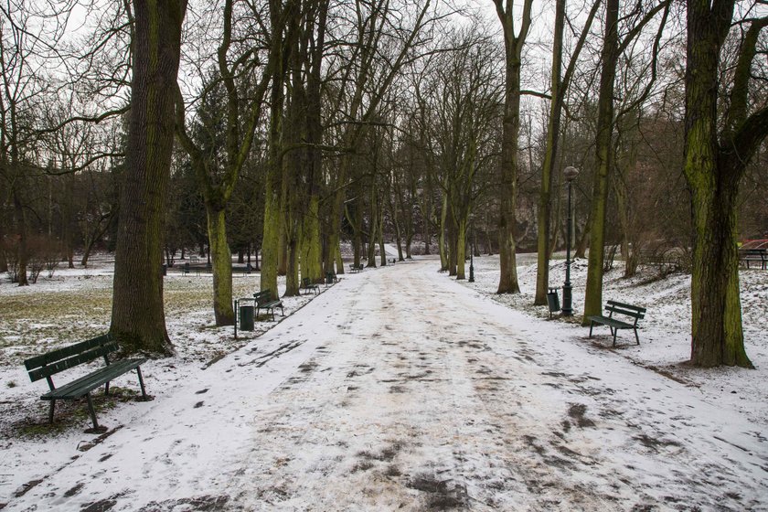 Park Bednarskiego wypięknieje