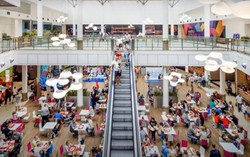 Inflacja "runie w dół". Jest nowa prognoza