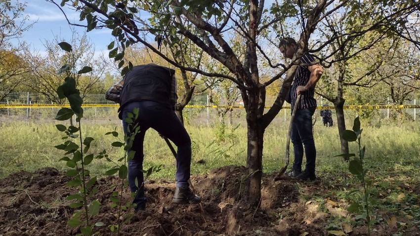 porodica Đokić ubistvo Aleksinac