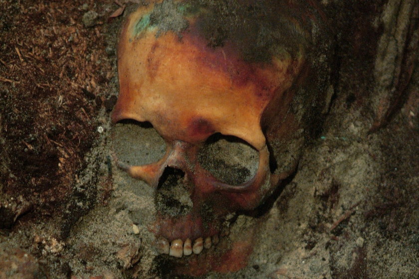 Przestrzelona czaszka znaleziona w lesie