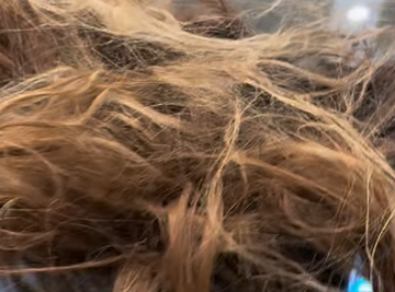 KOSA KAO PTIČJE GNEZDO: Supruga Slobe Radanovića ušla kao jedna osoba u salon, izašla kao druga!