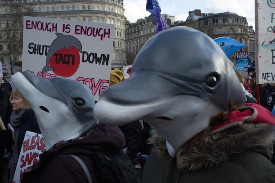 Protest przeciwko delfinarium w Wielkiej Brytanii