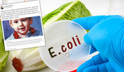 Stracił syna przez bakterię E. coli. Teraz ostrzega innych rodziców