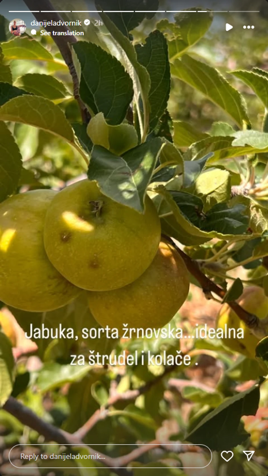 Danijela Dvornik se pohvalila plodovima iz voćnjaka