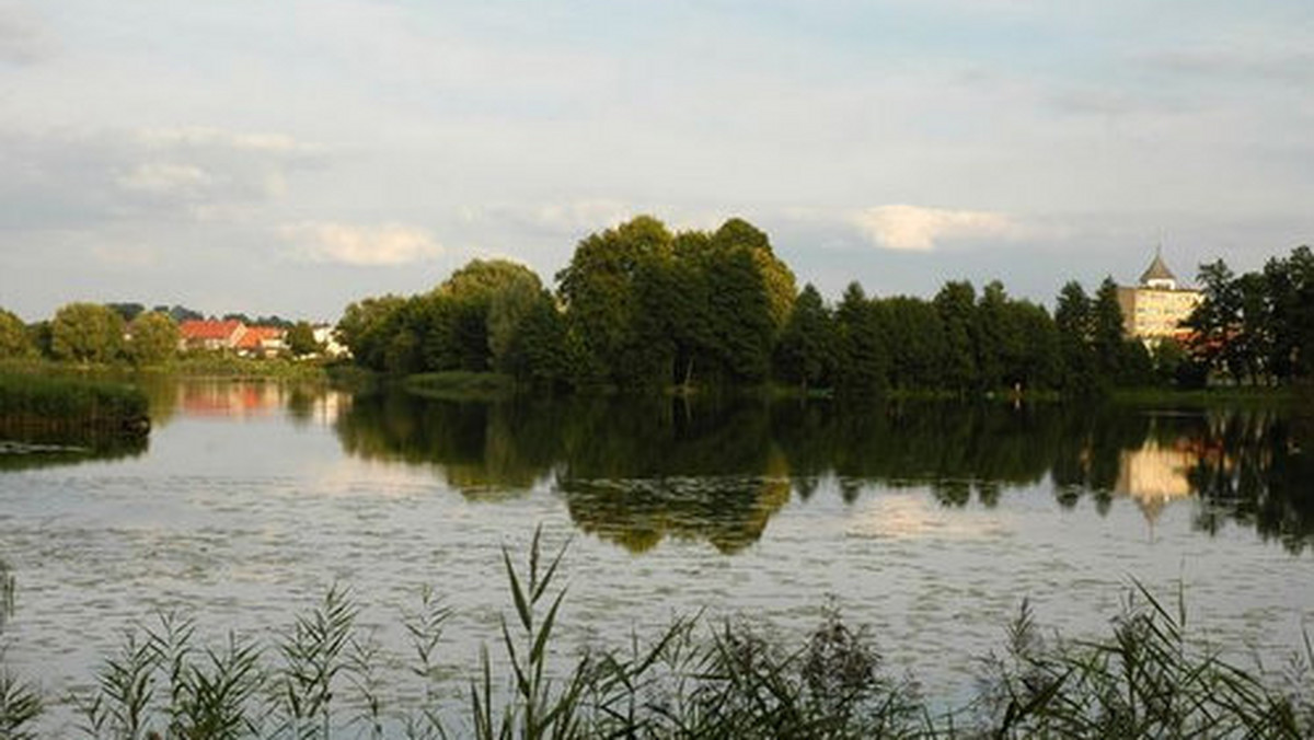 Po raz ósmy mieszkańcy Kalisza Pomorskiego (Zachodniopomorskie) obchodzili Święto Ogórka. Nad Jeziorem Ogórkowym w tym mieście powstała Wioska Ogórkowa, a w niej Wystawa Ogórkowa, Sklep Ogórkowy, z ogórkami w każdej postaci; są tam kiszone, małosolne, mizerie i zupy.