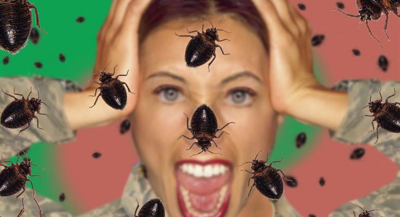 Is your home beg bugs infested?[BodyDesignsbyMary]