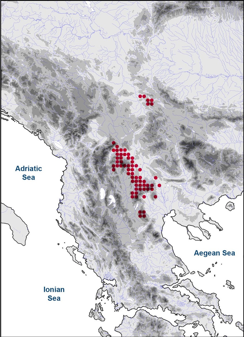 Karta pokazuje gde je sve rasprostranjena Ramonda nathaliae