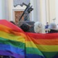 Protest aktywistów LGBT