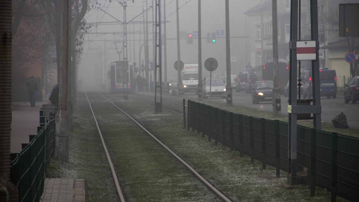 Średnioroczne stężenia pyłu zawieszonego odnotowane przez 8 z 12 stacji monitoringu w Małopolsce są niższe niż w 2014 - podał dziś Wojewódzki Inspektor Ochrony Środowiska Paweł Ciećko. Nie znaczy to jednak, że mieszkańcy regionu wdychają czyste powietrze.