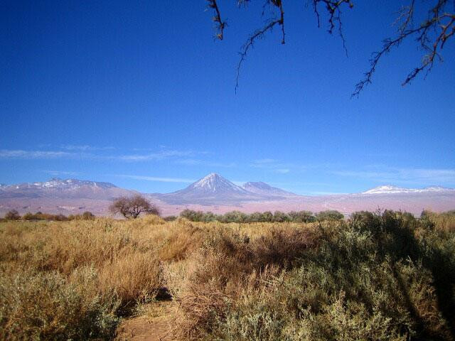 Galeria Chile - Atacama, obrazek 9