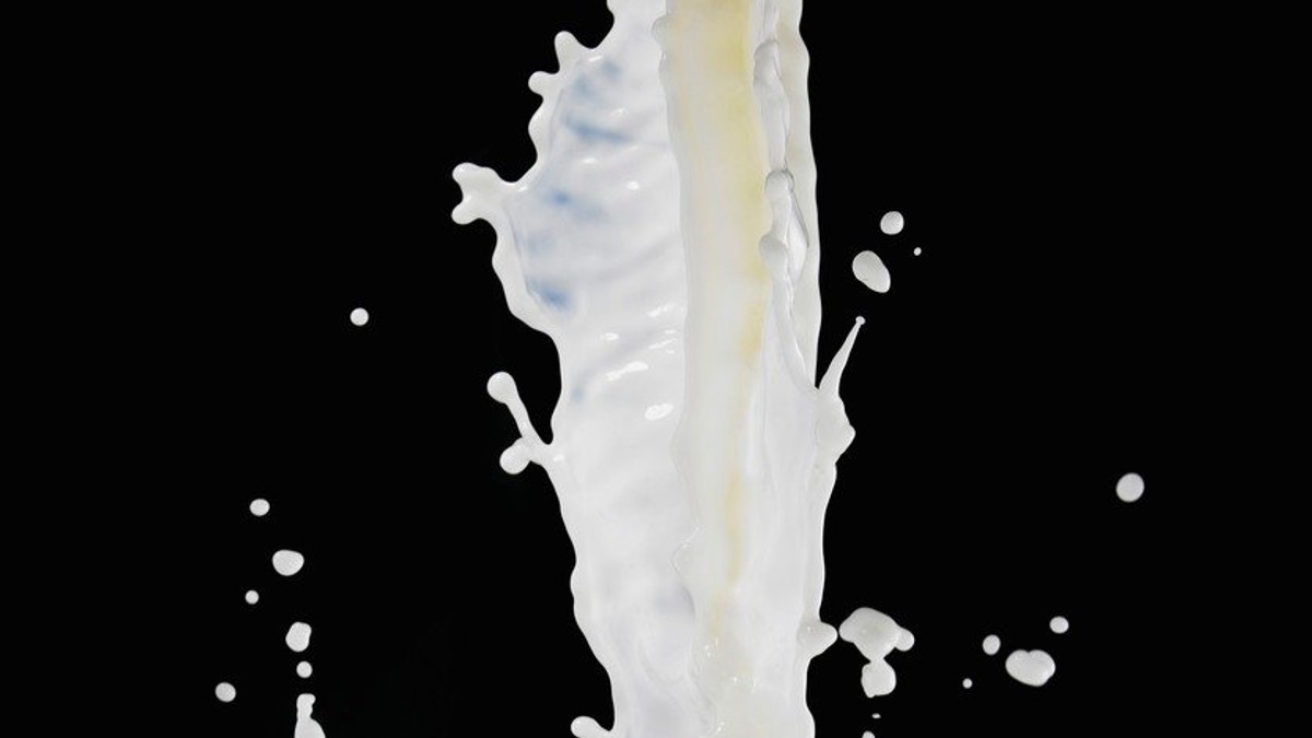 638064_mleko-profimedia0029405998