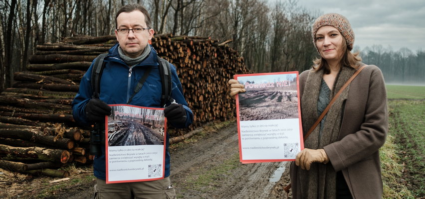 Zostawcie ten las! Mieszkańcy Śląska walczą o lasy w Brynku. Leśnicy już szykują na nie piły! 