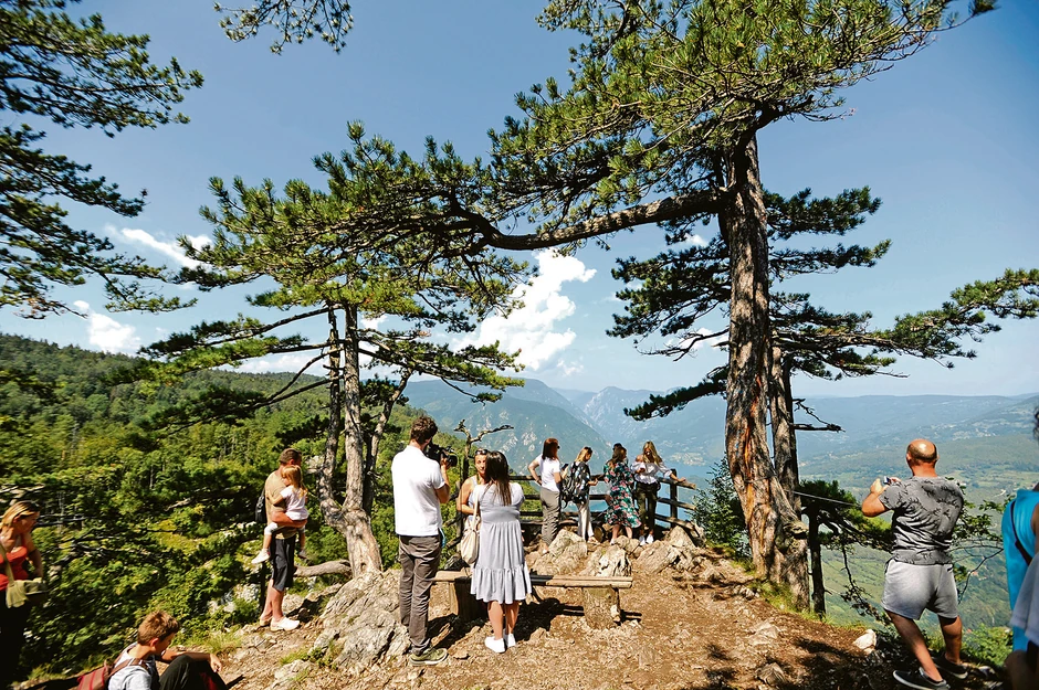 Tara je pod zaštitom UNESKA