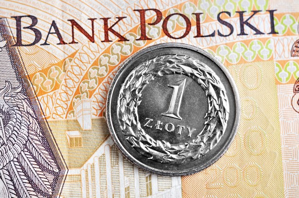 złotówki, pieniądze, złoty